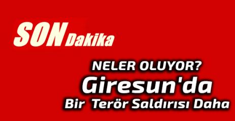 Giresun'da Bir  Terör Saldırısı daha