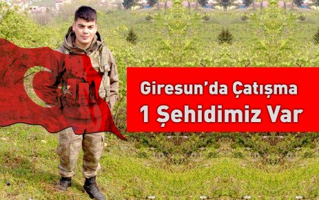 Giresun'da PKK'lı teröristlerle sıcak çatışma