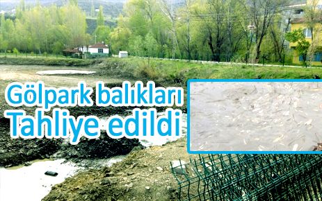 Gölpark balıkları Tahliye edildi.