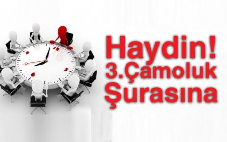 Haydin 3. Çamoluk Şurasına