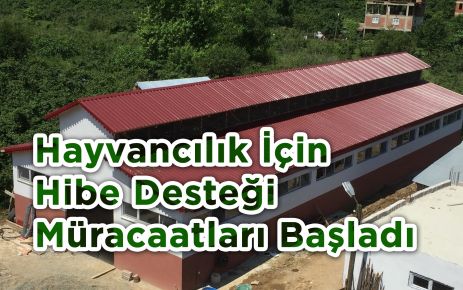 Hayvancılık İçin Hibe Desteği Müracaatları Başladı