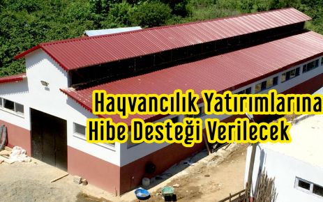  Hayvancılık Yatırımlarına Hibe Desteği Verilecek