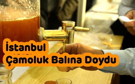 İstanbul Çamoluk Balına Doydu