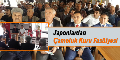 Japonlardan Çamoluk Kurufasülyesi