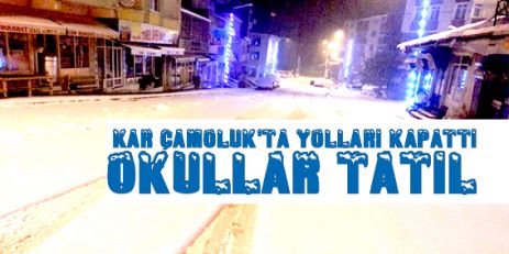 Kar Çamoluk'ta  Yolları Kapattı Okullar Tatil