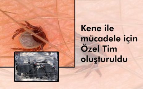 Kene İle Mücadele Timi  Kuruldu