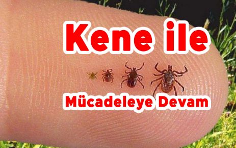 Kene ile Mücadeleye Devam