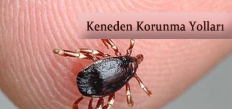 Keneden korunma yolları