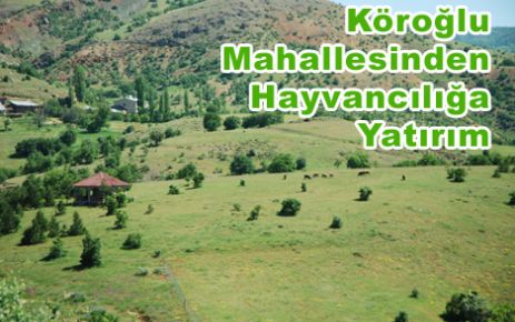 Köroğlu Mahallesinden  Hayvancılığa Destek