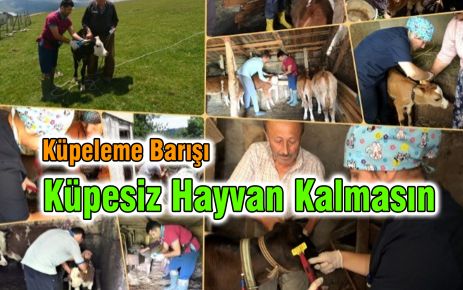 Küpesiz Hayvan Kalmasın