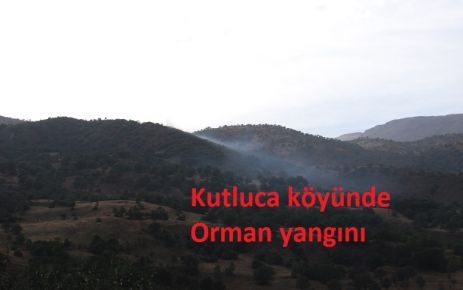 Kutluca Köyünde Orman Yangını