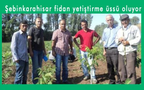 Şebinkarahisar fidan yetiştirme üssü oluyor