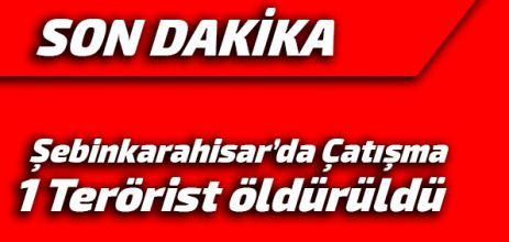 Şebinkarahisar'da çatışma 1 Terörist öldü