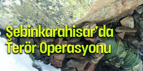 Şebinkarahisar’da terör operasyonu