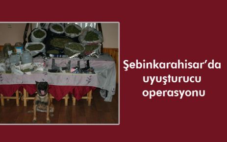 Şebinkarahisar'da uyuşturucu operasyonu