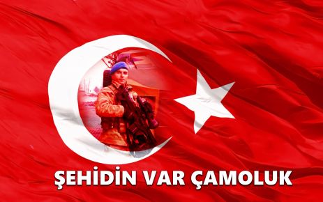 Şehidin Var Çamoluk