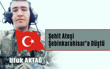 Şehit Ateşi Şebinkarahisar'a düştü