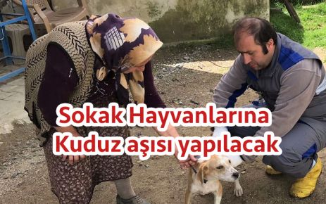 Sokak Hayvanlarına Kuduz Aşısı yapılacak