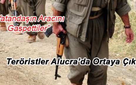 Teröristler Alucra'da Araç Gaspetti