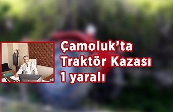 Çamoluk'ta Trafik Kazası 1 yaralı