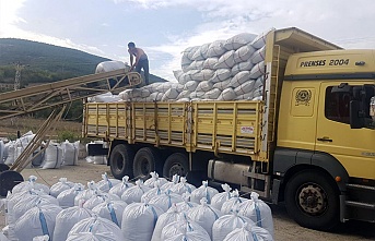 Çamoluk'ta Mısır Silajı  Satışı Başladı.