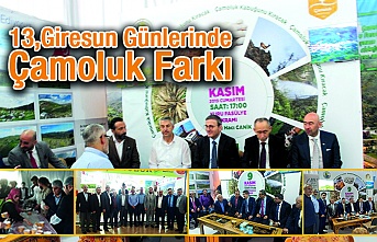 13. Giresun Günlerinde Çamoluk Farkı