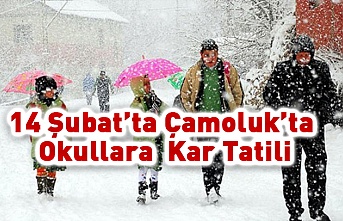 Çamoluk'ta Okullara Kar  Tatili