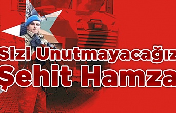 Seni Unutmadık Şehit Hamza