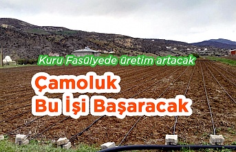 Çamoluk bu işi Başaracak