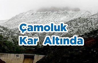 Çamoluk' Kar  Altında