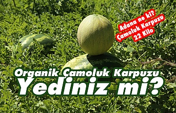 Çamoluk Karpuzu Yediniz mi?