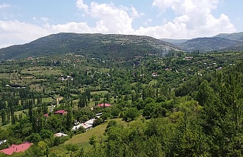 Yenice Köyüne Pazar Kısıtlaması