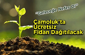 Çamoluk'ta Ücretsiz Fidan Dağıtılacak