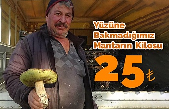 Yüzüne Bakmadığımız Mantar Geçim Kaynakları Oldu