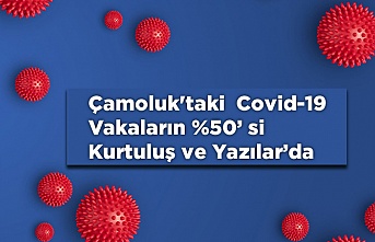 Çamoluk'taki Vakaların %50'si İki Mahallede