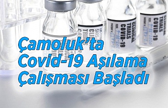 Çamoluk'ta  Aşılama Çalışması Başladı