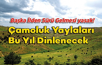 Çamoluk Yaylaları Bu Yıl Dinlenecek