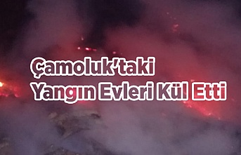 Çamoluk'taki  Yangın Evleri Kül Etti