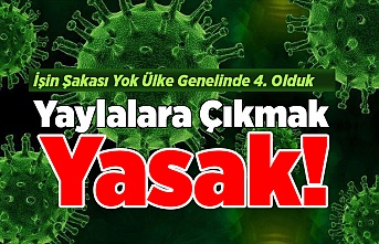 Yaylalara Çıkmak Bir Süre Yasak!