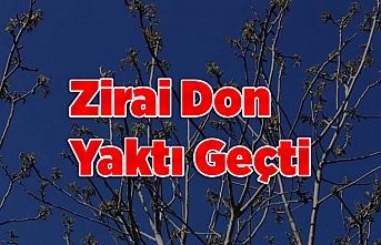 Ayaz Yaktı Geçti