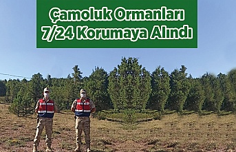 Çamoluk Ormanları Koruma Altında