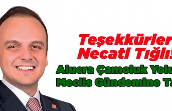 Teşekkürler Necati Tığlı