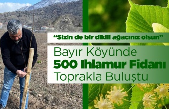 Bayır'da 500 Ihlamur Fidanı Toprakla Buluştu