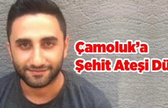 Çamoluk'a Şehit Ateşi Düştü