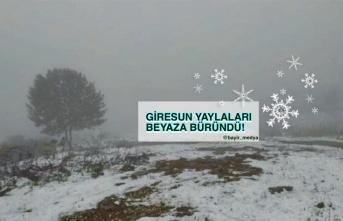 Doğu Karadeniz Yaylaları Kar’a Teslim Oldu!