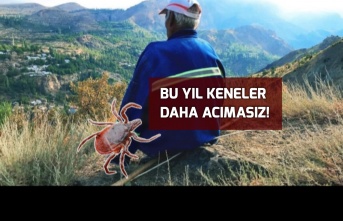 Uzmanlardan Korkutan Kene Uyarısı, Bu Seneki Vakalar...'