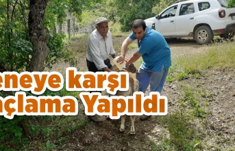 Keneye karşı İlaçlama Yapıldı