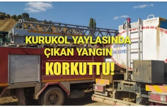 Kurukol Yaylasında Çıkan Yangın Korkuttu!