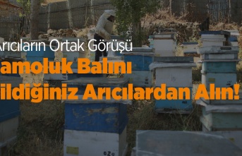 Çamoluklu Arıcılar: Çamoluk'ta Satılan Her Bal Çamoluk Balı Değil