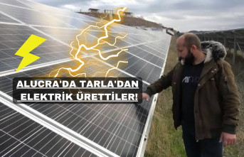 Doğu Karadeniz'in En Büyük Güneş Enerji Santrali Tam Kapasite Üretime Başladı!